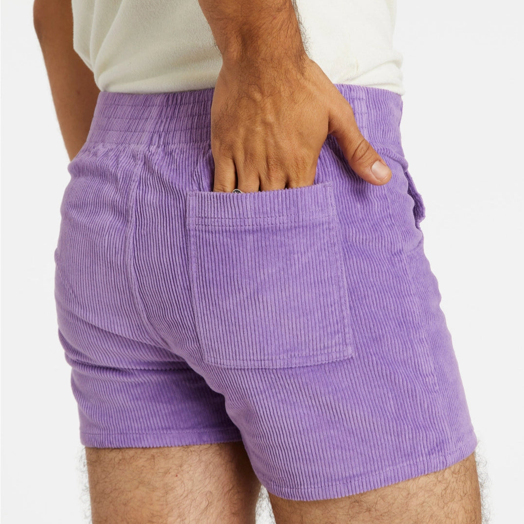 Stretch Corduroy Short: Purple