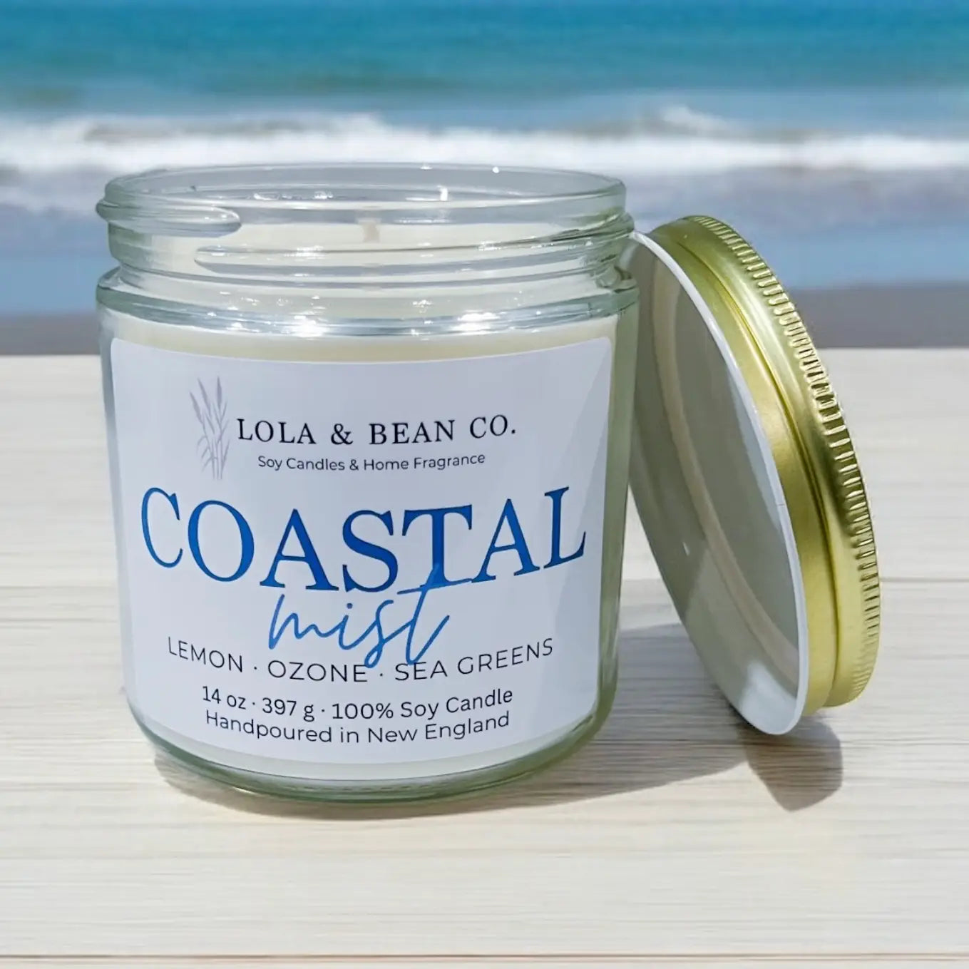 Costal Soy Candle: Coastal Mist 7.5 oz.