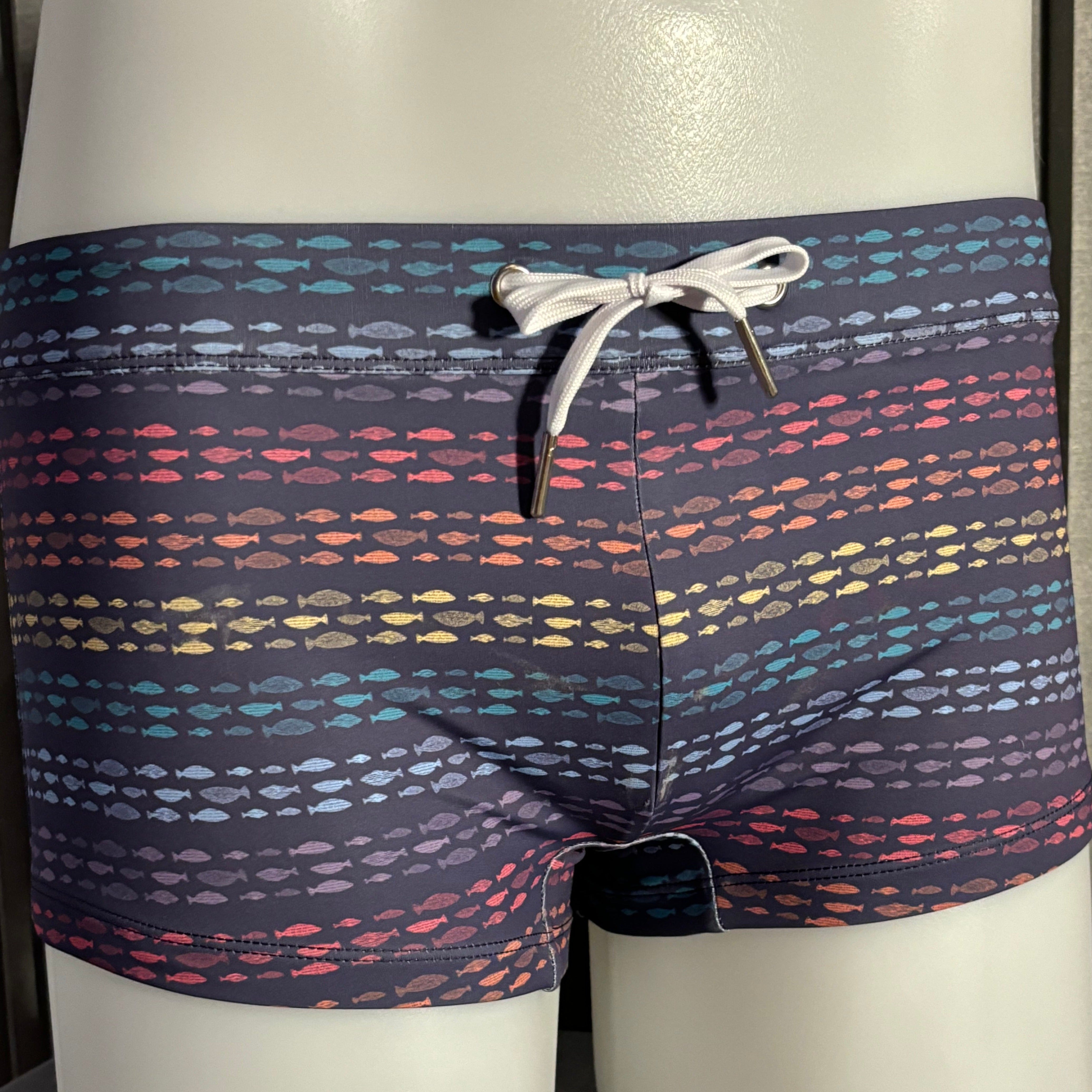 Rainbow Fish Stripe Swim Trunk: Blue