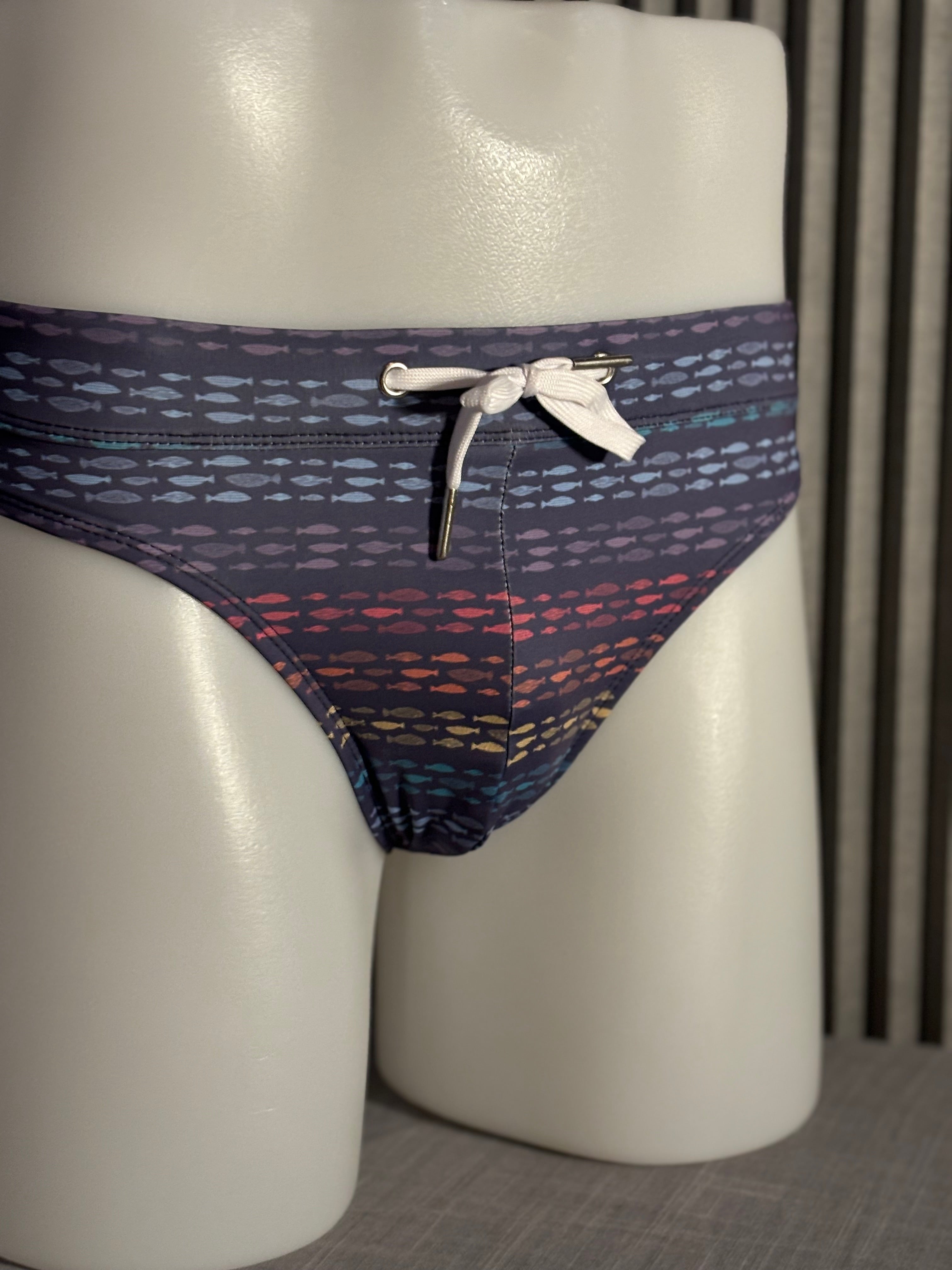 Fish Stripes Swim Brief: Rainbow