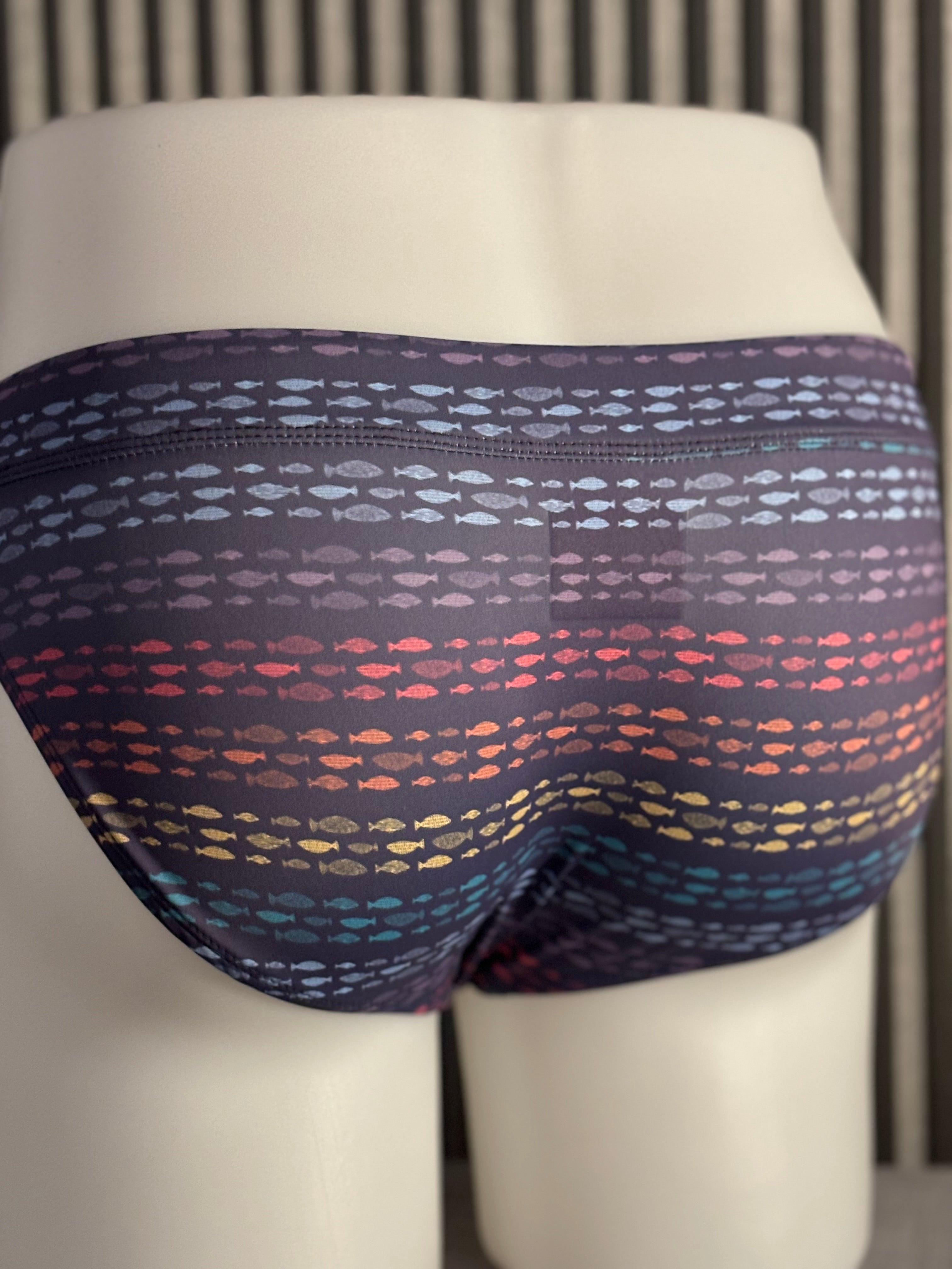 Fish Stripes Swim Brief: Rainbow