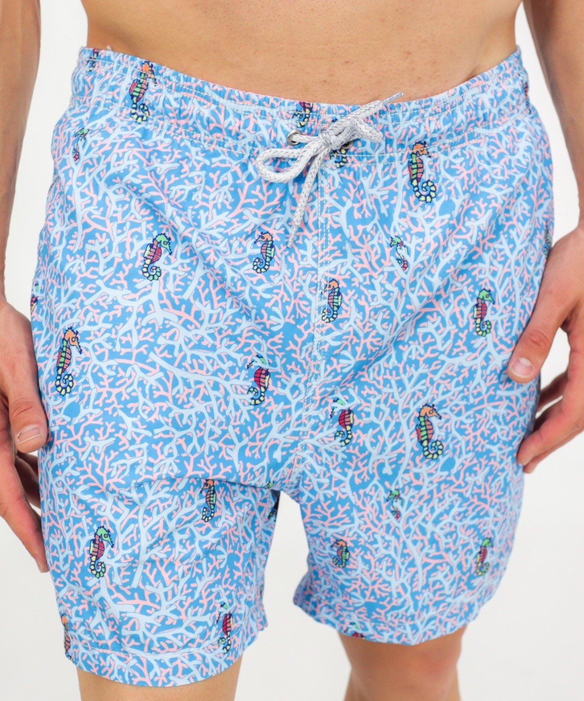 Rainbow Seahorses Swim Trunk: Blue