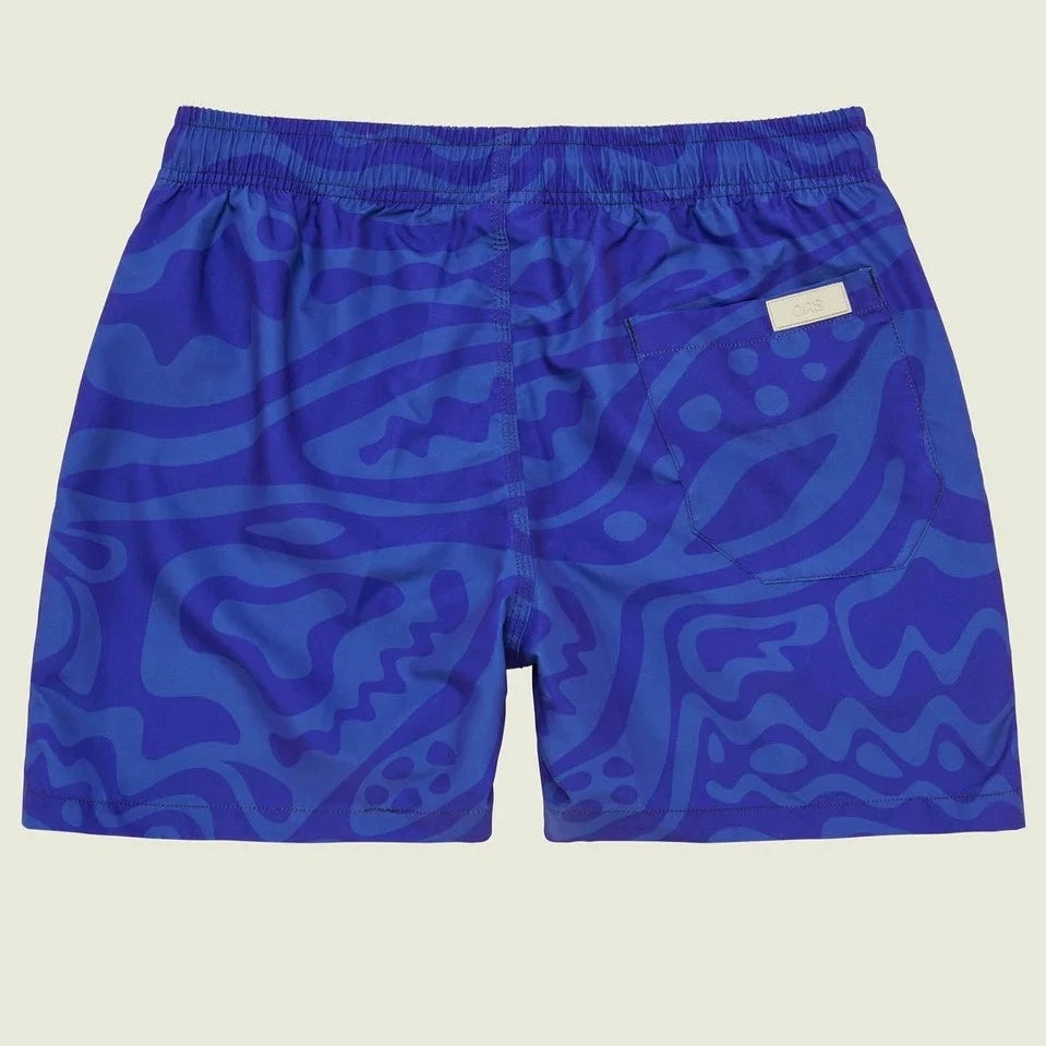 Rapture Swim Trunk: Blue