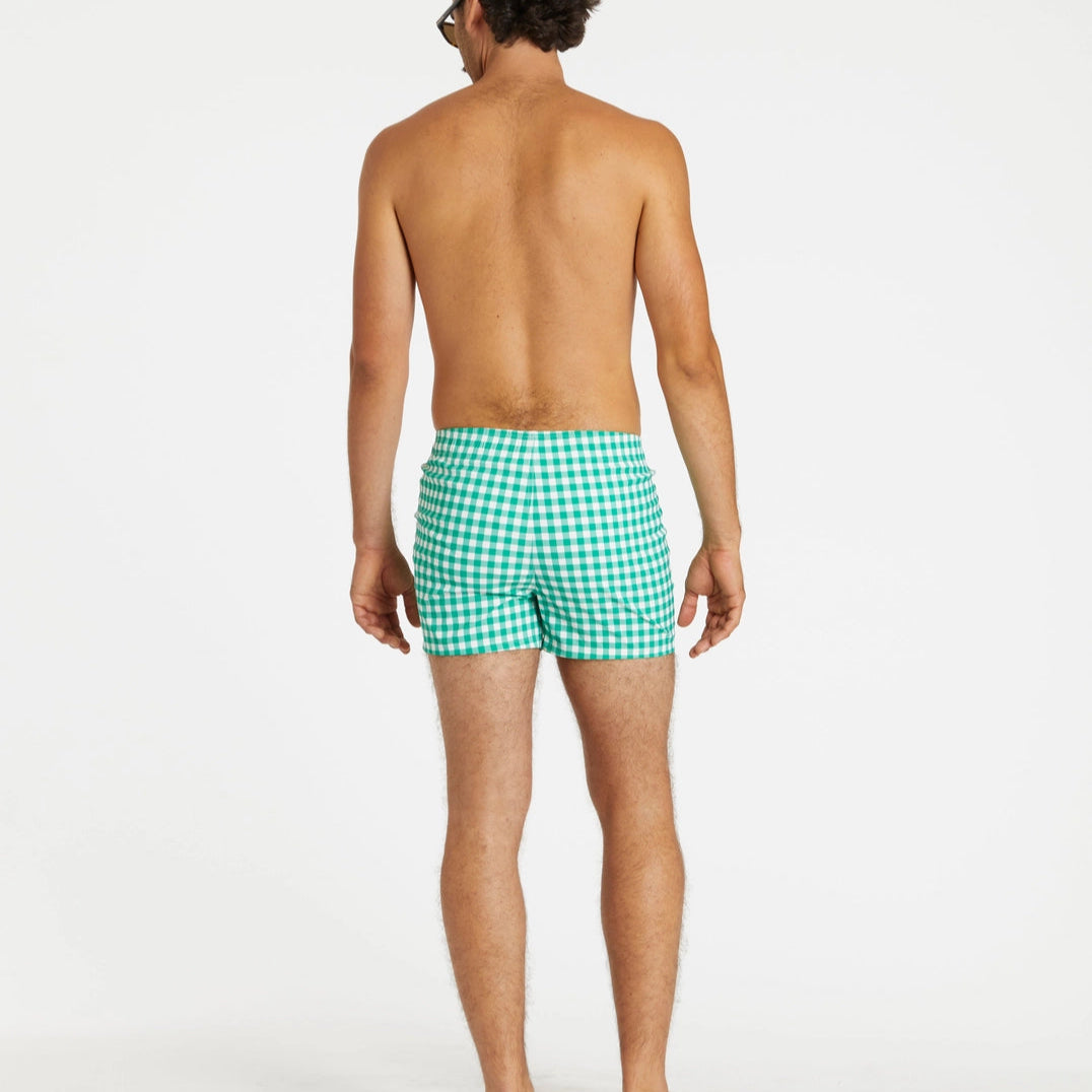 Cabana Swim Trunk: Green Gingham