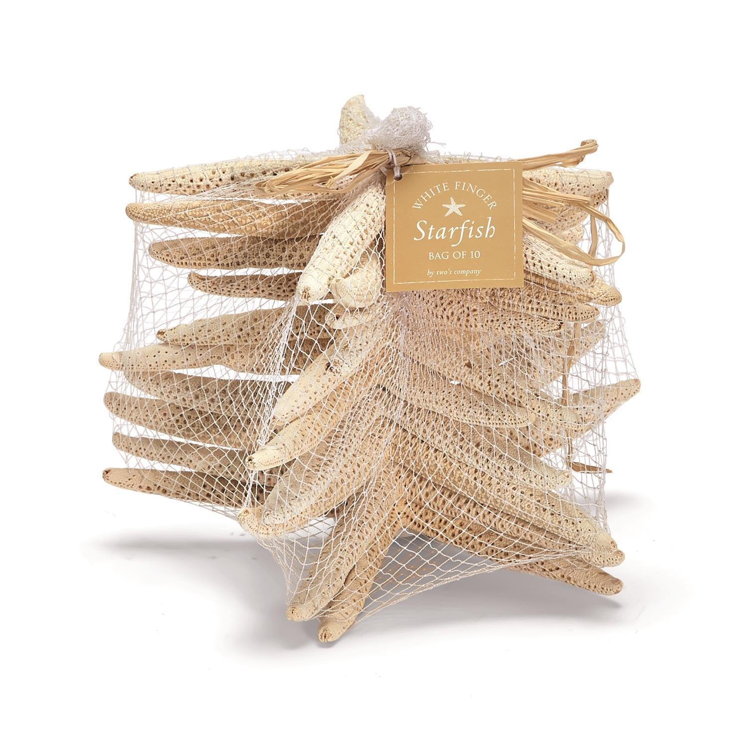 White Finger Starfish: Set of 10