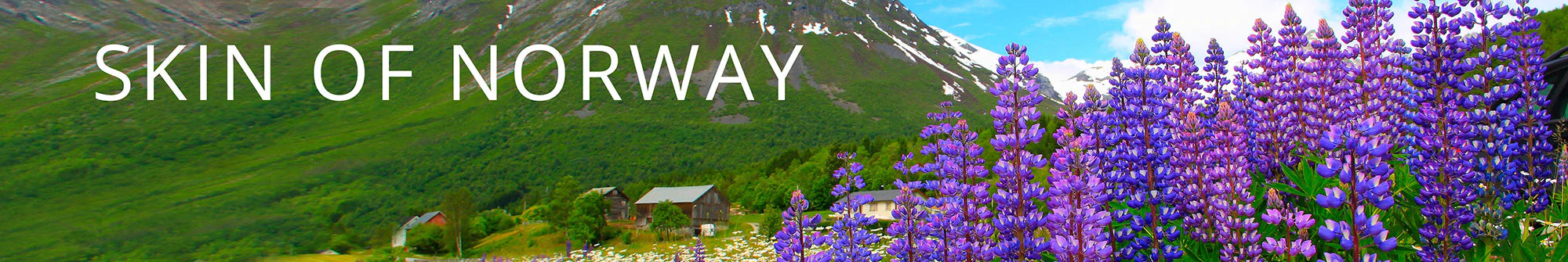 SKIN OF NORWAY Detoxifying Hydration Mask