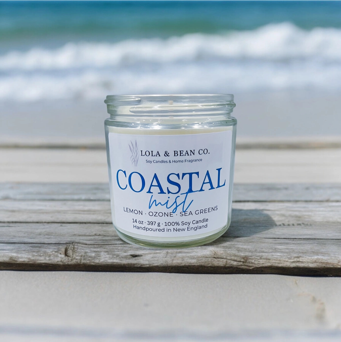 Costal Soy Candle: Coastal Mist 7.5 oz.