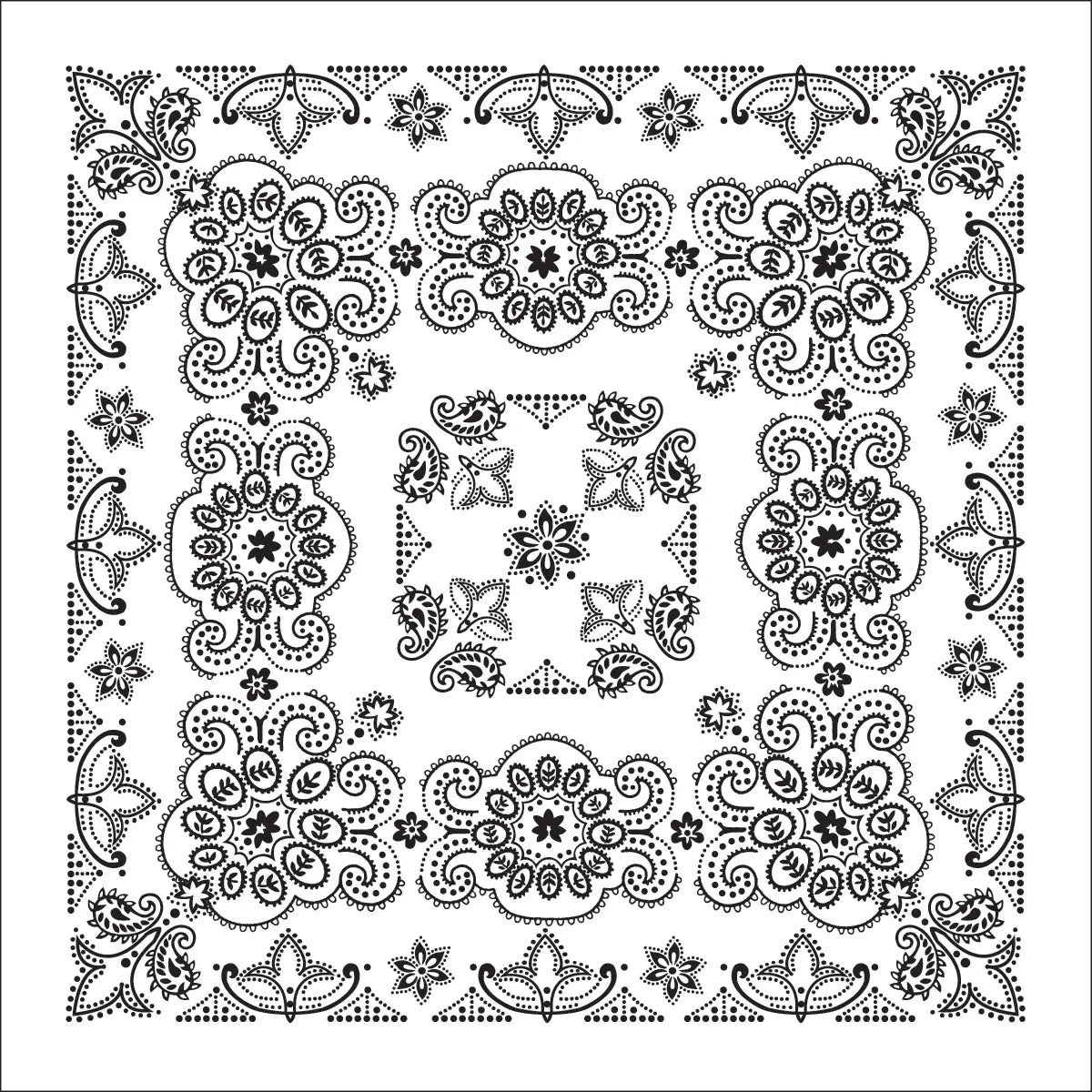 Bandanna 22": White Texas Paisley