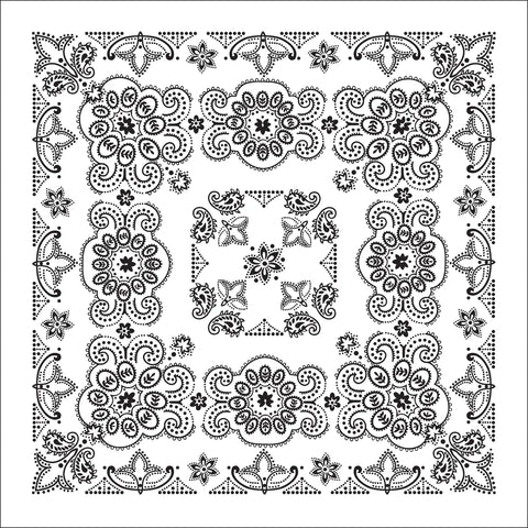 Bandanna 22": White Texas Paisley