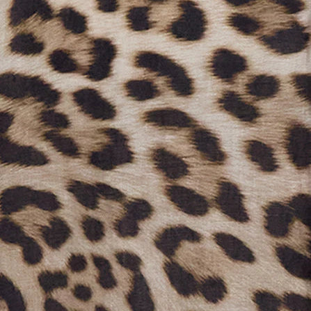 Landon Leopard Shirt S/S: Brown