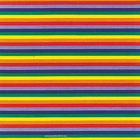 Bandana 22": Freedom Rainbow Pride