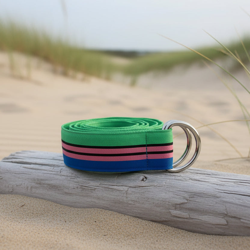 Ribbon Belt: Vintage Pink/Blue/Green