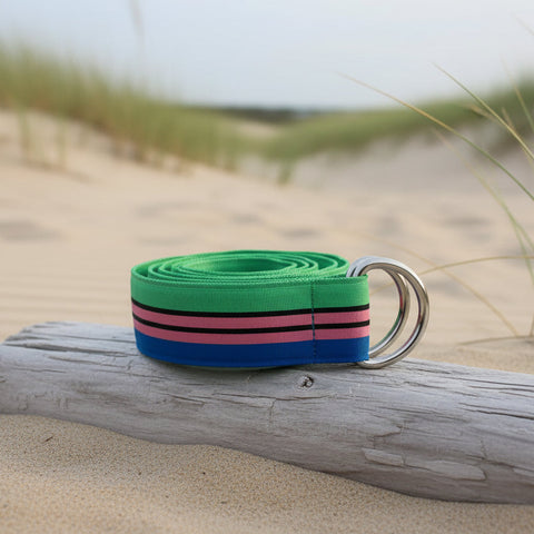 Ribbon Belt: Vintage Pink/Blue/Green