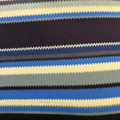 Printed Multi Stripe Tank: Blue